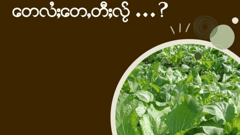 ၵေႃႁူမ်ႈသၢင်ႈ ၸဝ်ႈႁႆႈၸဝ်ႈၼႃးၸိုင်ႈတႆး signal 2026 02 15 080359 002